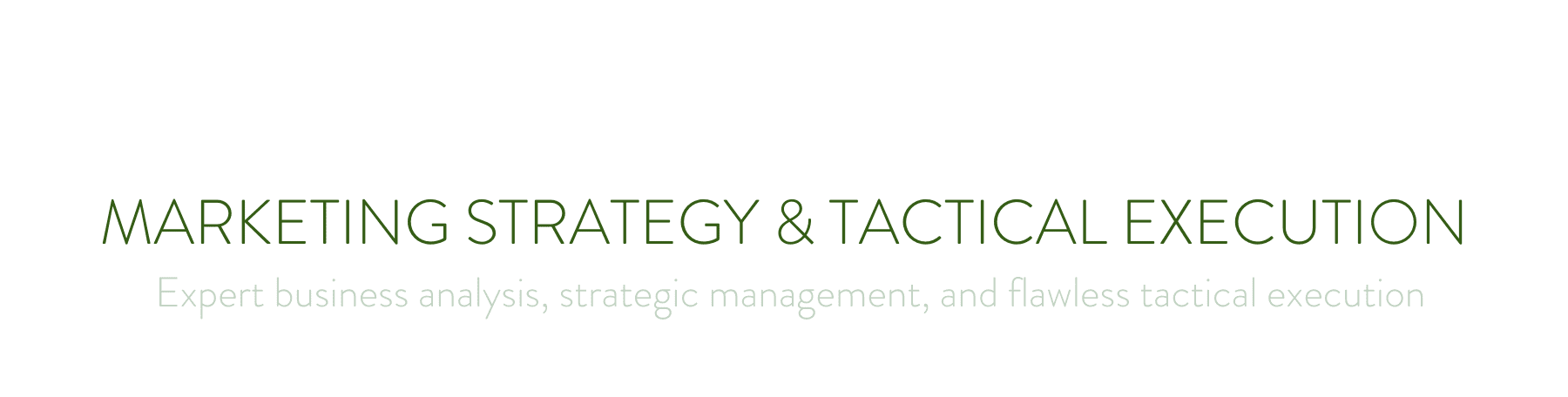 Marketing+Strategy+&+Tactical+Execution (3)